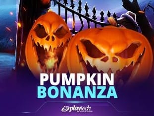 Pumpkin Bonanza